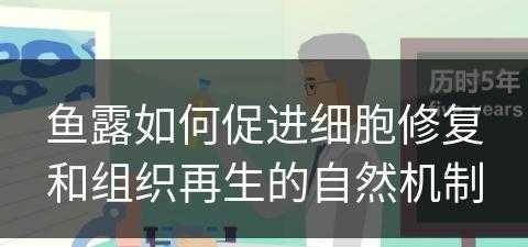 鱼露如何促进细胞修复和组织再生的自然机制